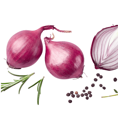 Coopérative de producteurs implantée à Beaumont-de-Lomagne en Occitanie, Top Alliance structure et valorise les filières agricoles.