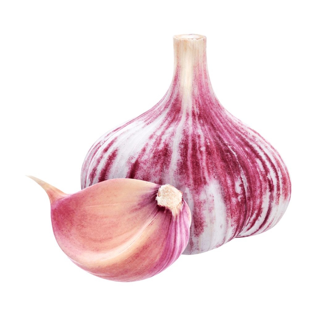 Coopérative de producteurs implantée à Beaumont-de-Lomagne en Occitanie, Top Alliance structure et valorise les filières agricoles.