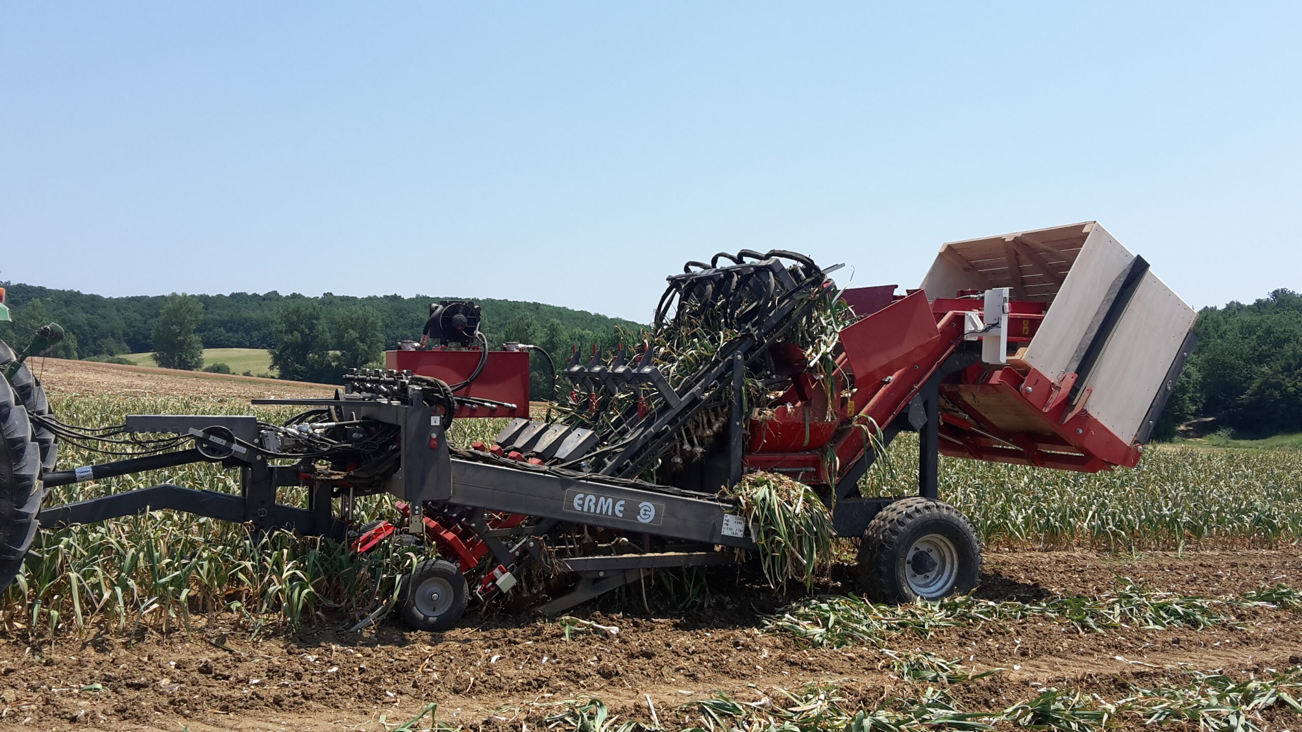 Coopérative de producteurs implantée à Beaumont-de-Lomagne en Occitanie, Top Alliance structure et valorise les filières agricoles.
