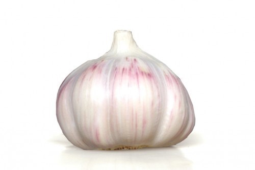 Coopérative de producteurs implantée à Beaumont-de-Lomagne en Occitanie, Top Alliance structure et valorise les filières agricoles.